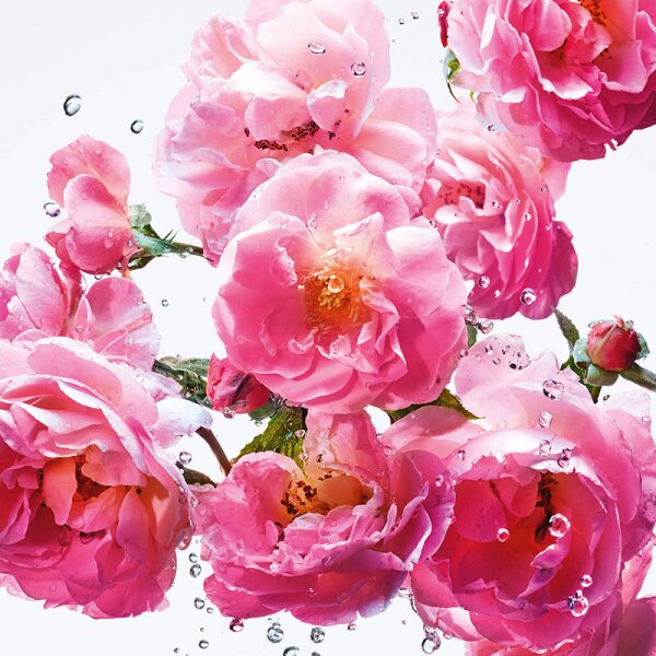 DIOR MISS DIOR Rose N'Roses Eau de Toilette
