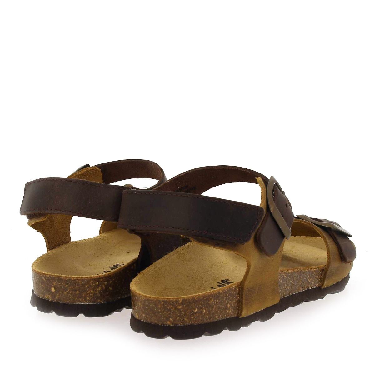 Reqins  CESAR - Marron Camel