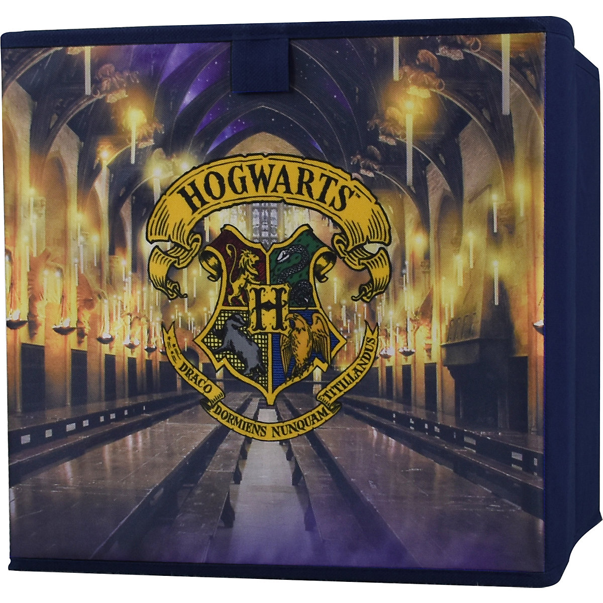 Faltbare Aufbewahrungsbox, 30 x 30 cm, Harry Potter