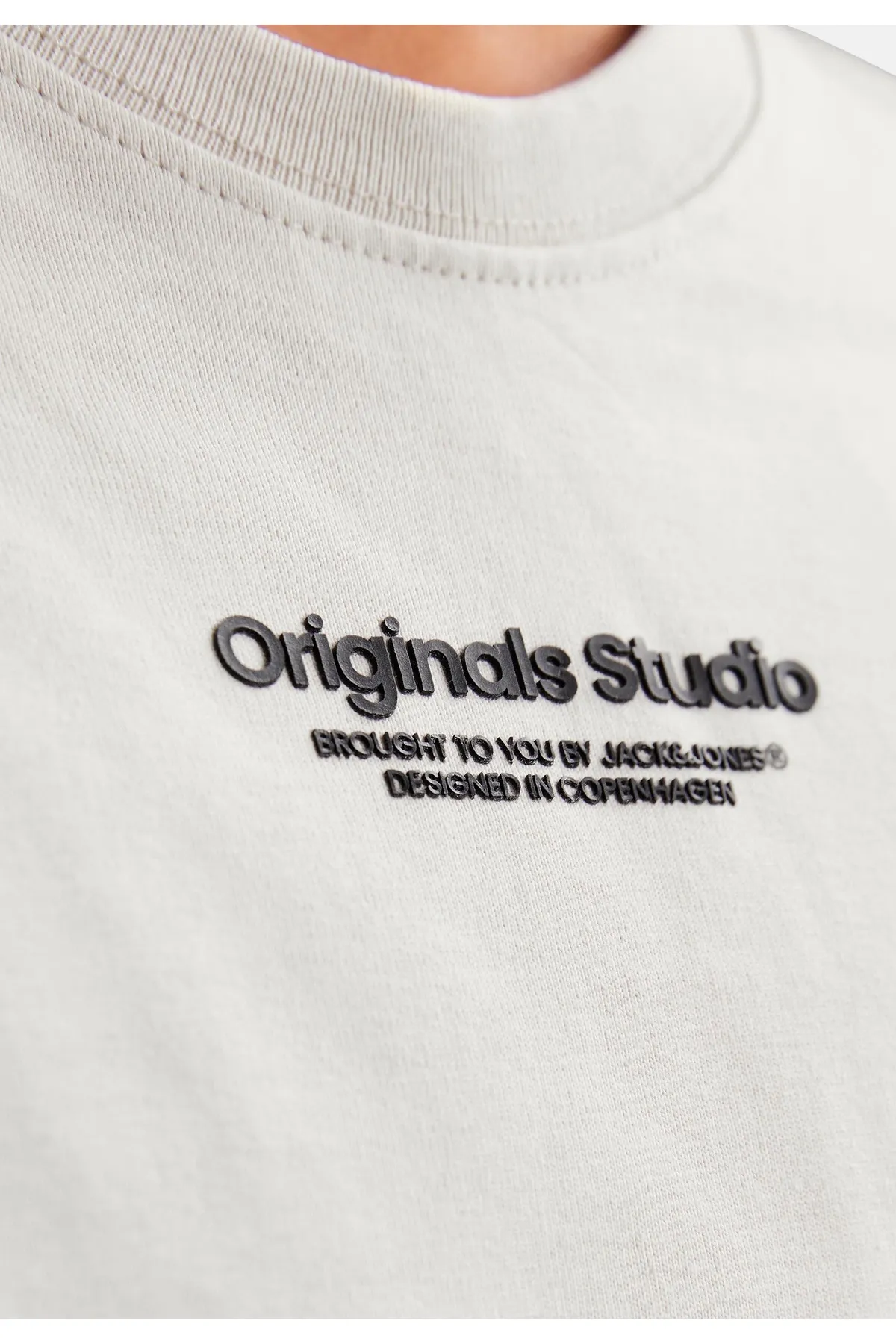 Jack & Jones  T-Shirt VESTERBRO Langarmshirt mit 3-D-Print