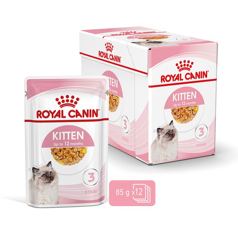 Royal Canin Kitten in Gelee zu TOP-Preisen