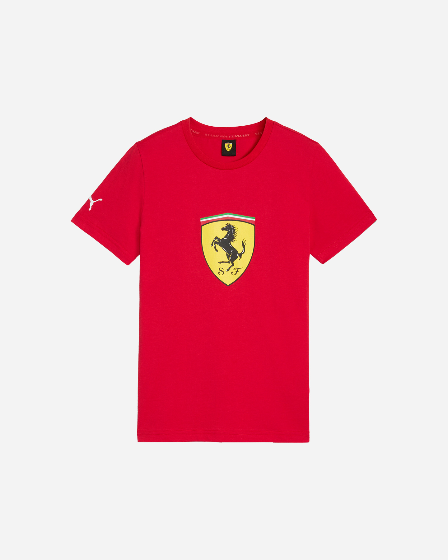 Fanwear Puma Colored Big Shield Jr 630435-02