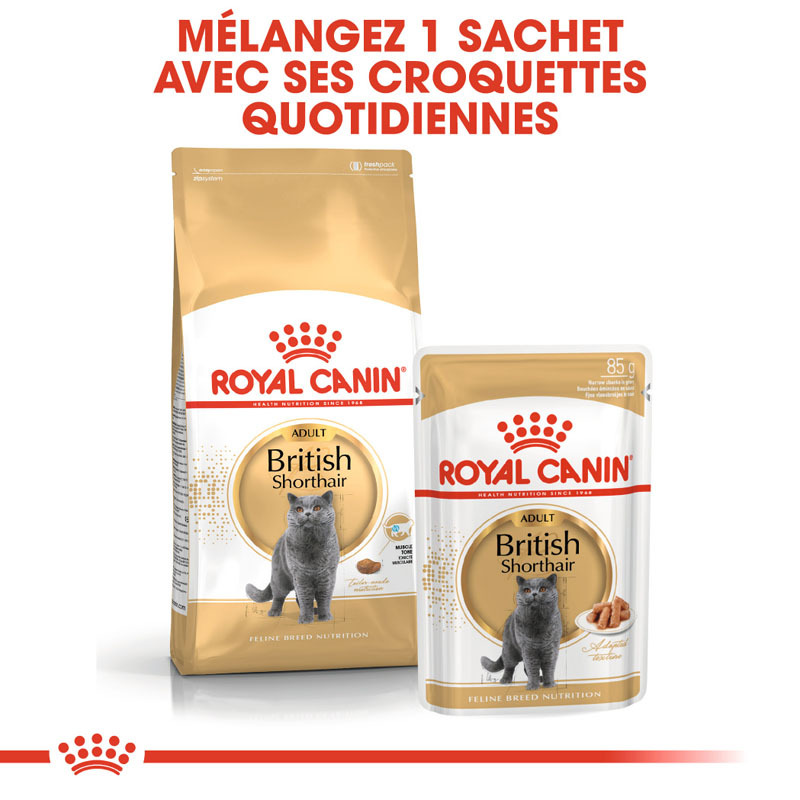 ROYAL CANIN Trockenfutter ROYAL CANIN British Shorthair Adult 10 kg