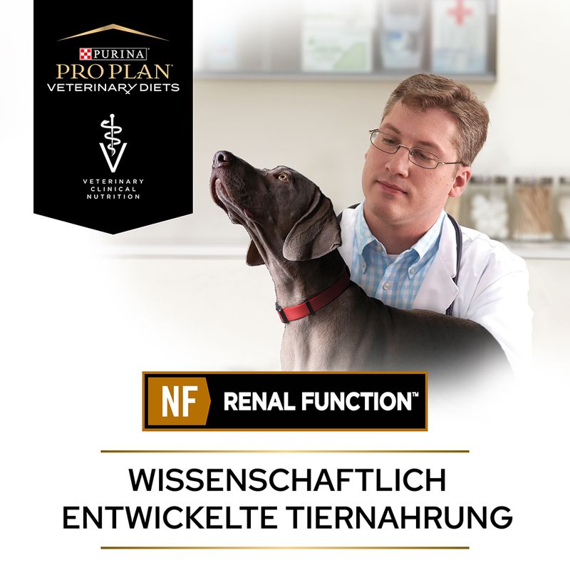 PURINA PRO PLAN Veterinary Diets Canine Mousse NF Renal | bitiba
