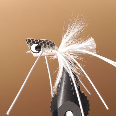 JMC Popper Bass Fly 24 t8