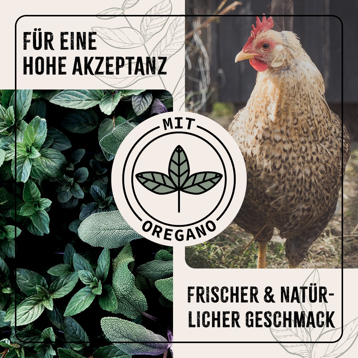 Aniforte Futter & Heu Aniforte FarmLife Hühner Futter Mix mit Oregano 5 kg