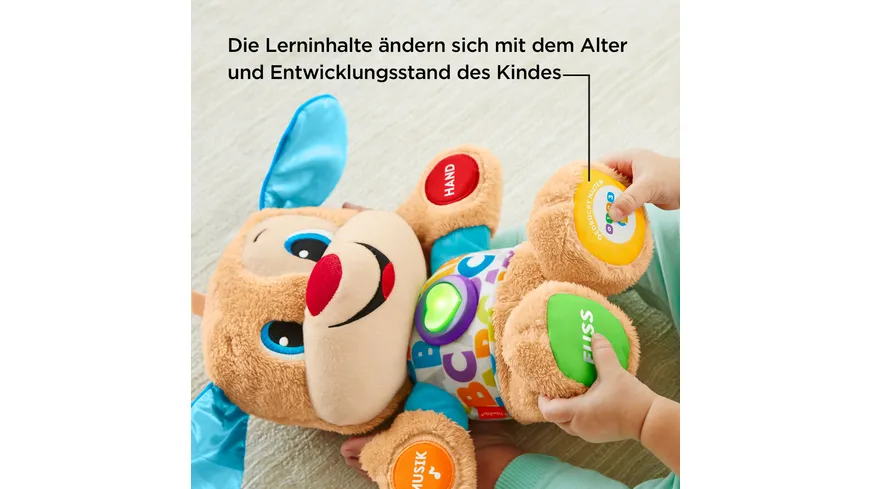 Fisher-Price Lernspaß Hündchen, Baby-Spielzeug mit Musik, Kuscheltier, Lernspielzeug