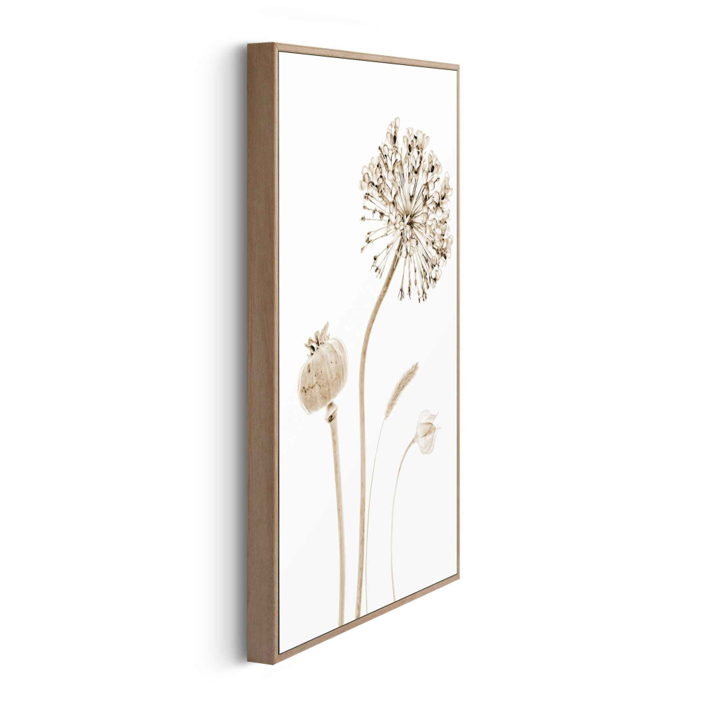 Rahmenbild Flower Stills