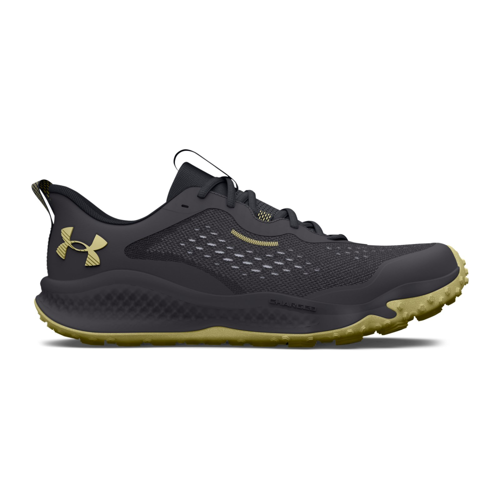 Under Armour Charged Maven Trail 3026136-100 / grau