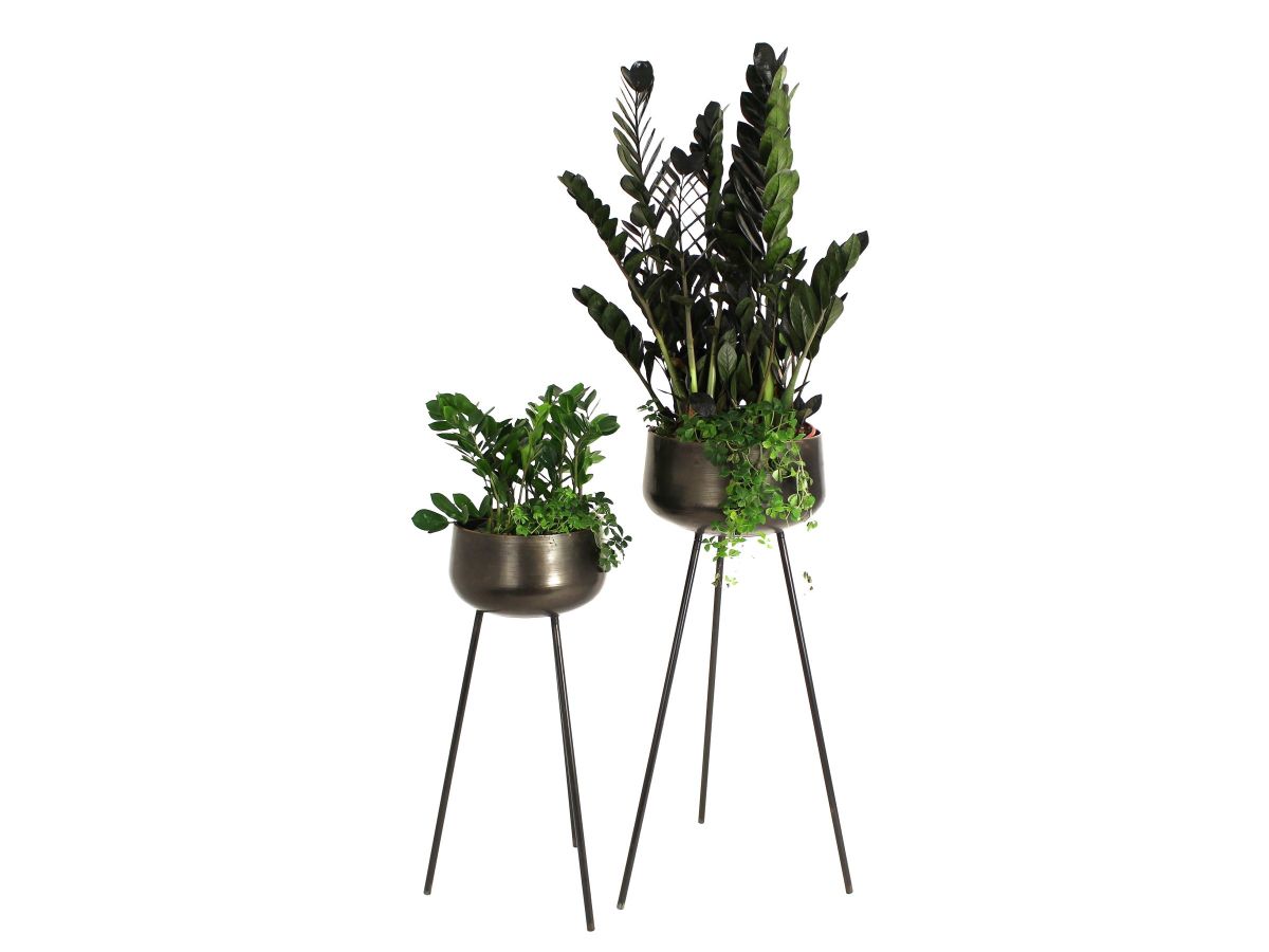 Trendhopper Pflanzenständer 2er Set Metal Schwarz