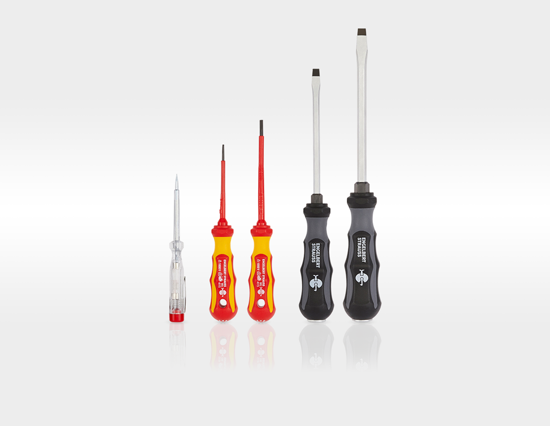 Werkzeug-Set Allround Profi inkl. STRAUSSbox