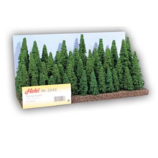 Tannenwald Tannen 5-12 cm (40 Stk.)