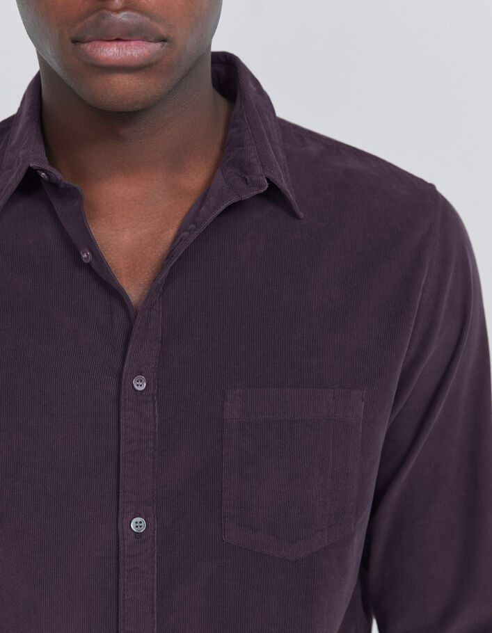 Chemise REGULAR dark plum en velours milleraies Homme