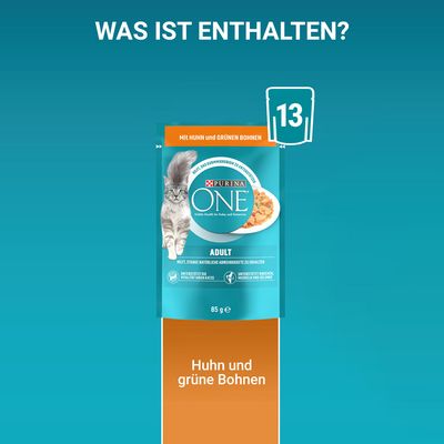 PURINA ONE Adult