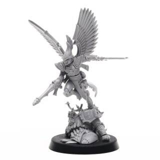 Darting Ospreys Prime