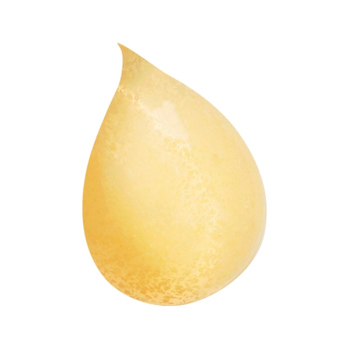 Gel Nettoyante Gommant Visage