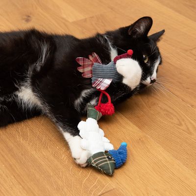 Katzenspielzeug Vögelchen & Fisch