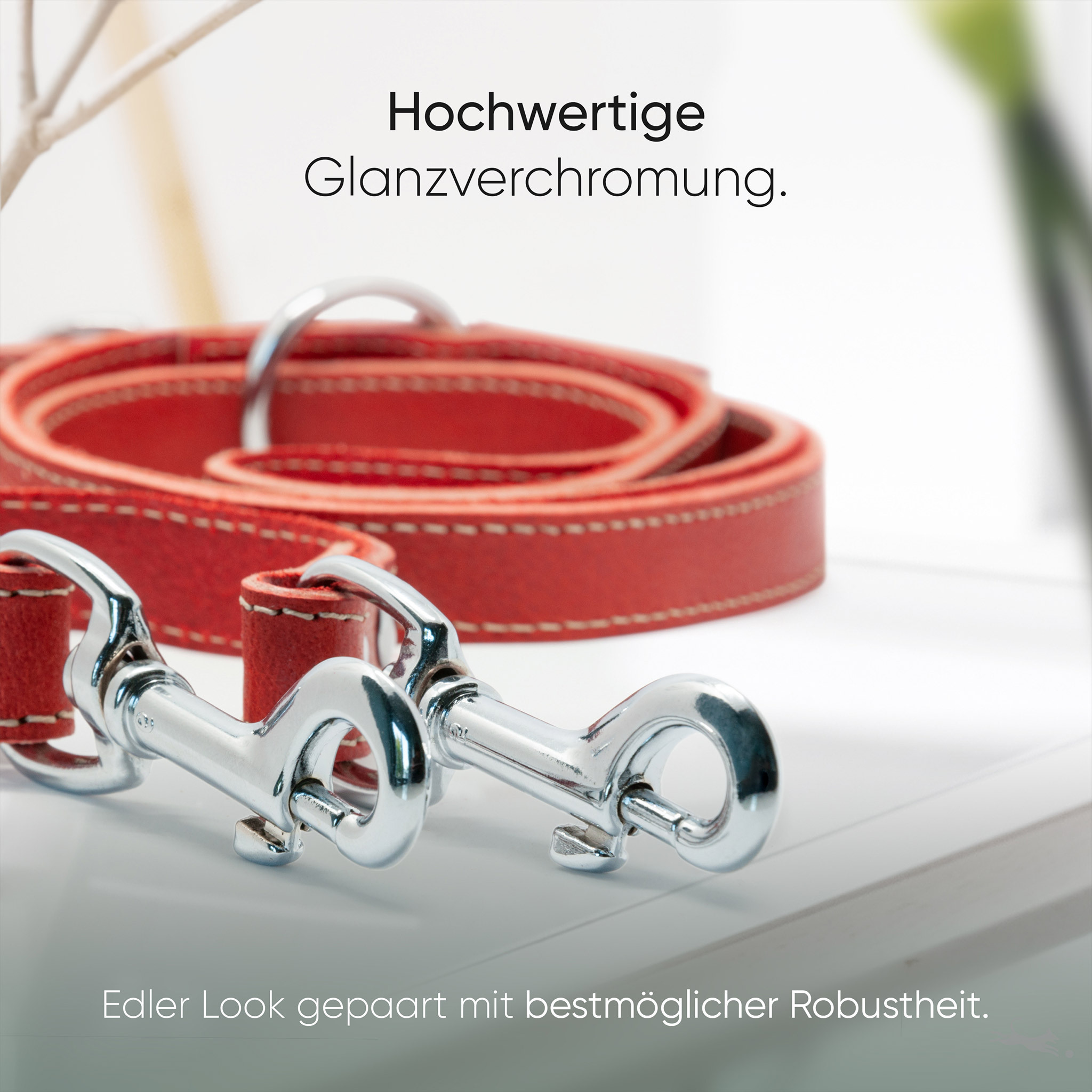 Freudentier Hundeleinen Freudentier Hundeleine aus Leder, verstellbar rot 2,5 cm