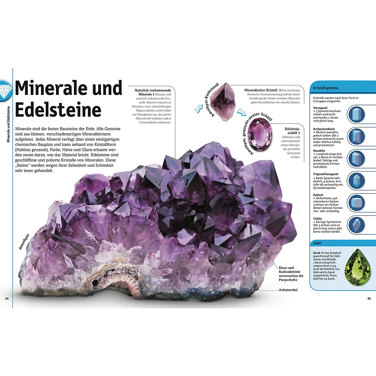 Steine: Minerale, Edelsteine und Fossilien in über 1000 Bildern