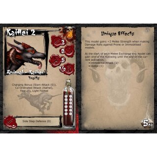 Kaihei Pack