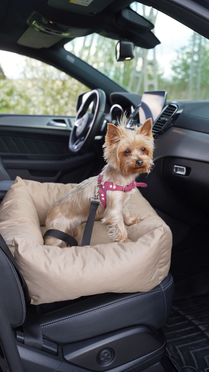 Animood Hundeautositz Julian cappucino S