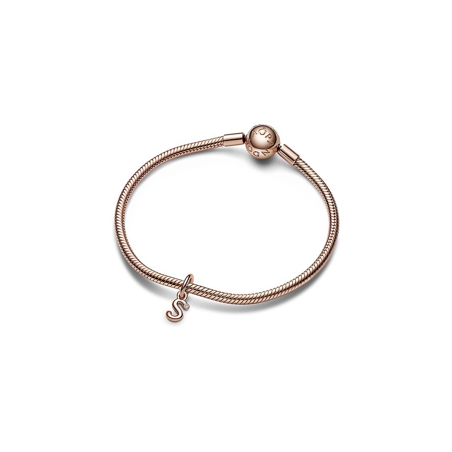 Pandora Charm Moments