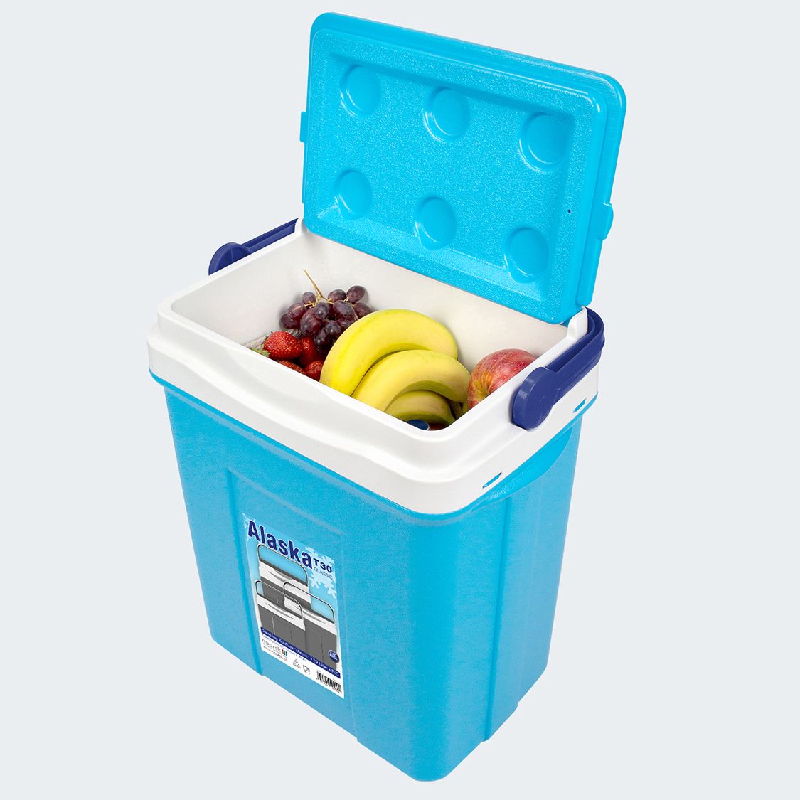 Noorsk Alaska T30 29 Liter Kühlbox