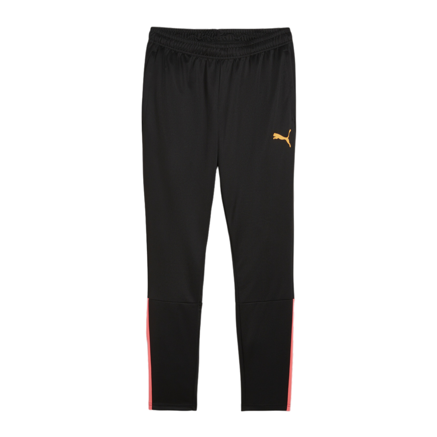 PUMA teamLIGA Trainingshose Schwarz F57