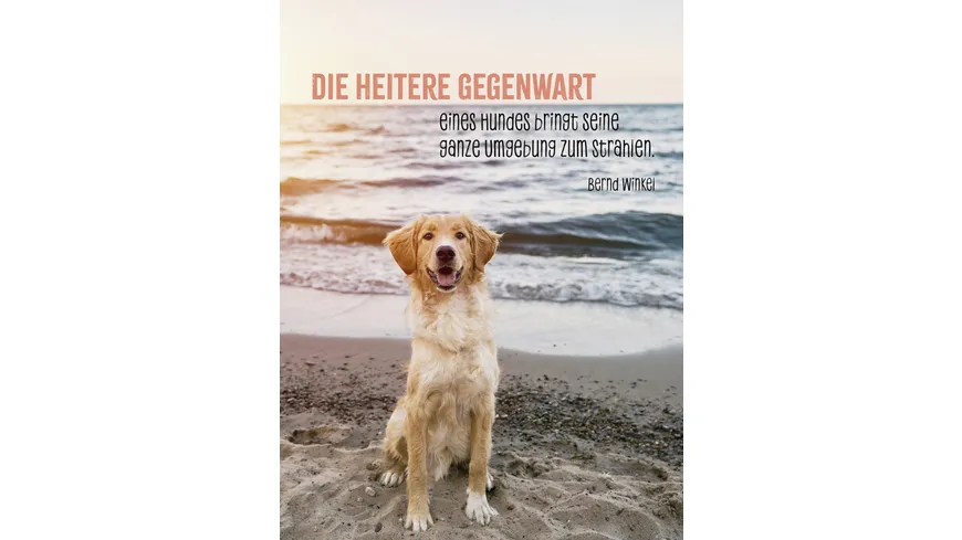 Hunde sind die besten Freunde
