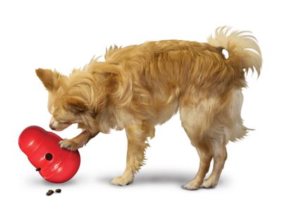KONG Wobbler Snackball