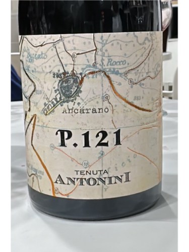 Tenuta AntoniniP.  121 2021