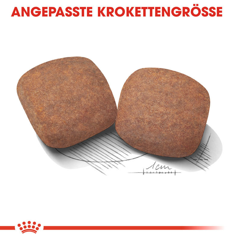 ROYAL CANIN Hundetrockenfutter ROYAL CANIN Giant Adult 4 kg