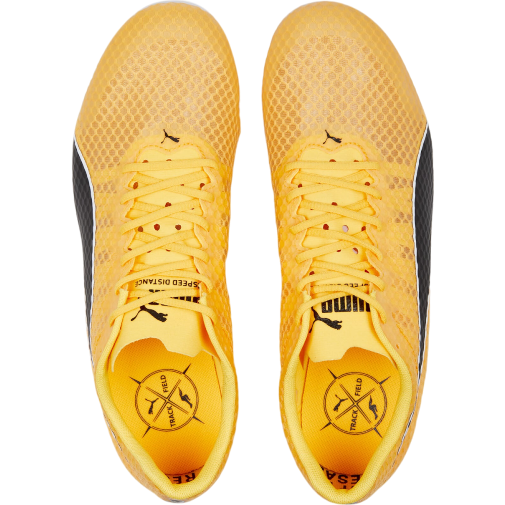 PUMA evoSPEED Distance 11 377961/001 / orange