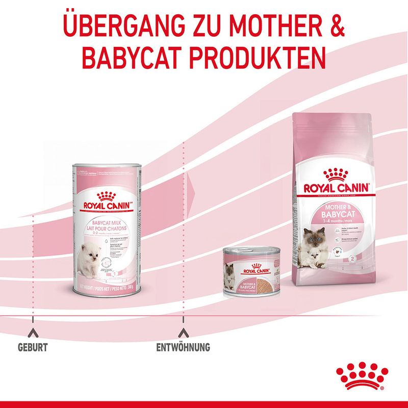 Royal Canin Babycat Milk zu TOP-Preisen