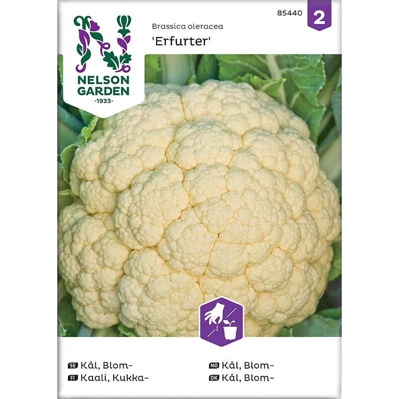 Nelson garden Frø Kål Blom-, Erfurt