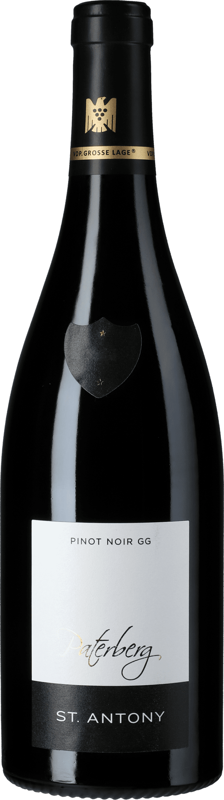 Sankt Antony: Pinot Noir Nierstein Paterberg Großes Gewächs 2021