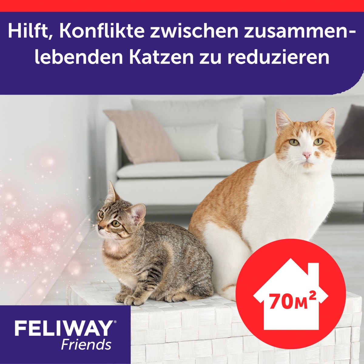 Pheromonverdampfer Starter Set \Friends\ für Katzen, 48 ml