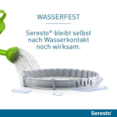 Seresto® Halsband Katze
