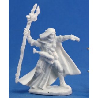 High Elf Adventurer Elquin