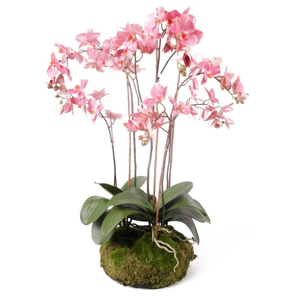 Kunstrasen Kunstpflanze Phalaenopsis mit Moos Rosa 75 cm 417662, Emerald, Höhe: 75 mm