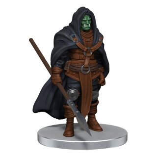 Critical Role Miniaturen: Guests of Critical Role (pre-painted) (10)