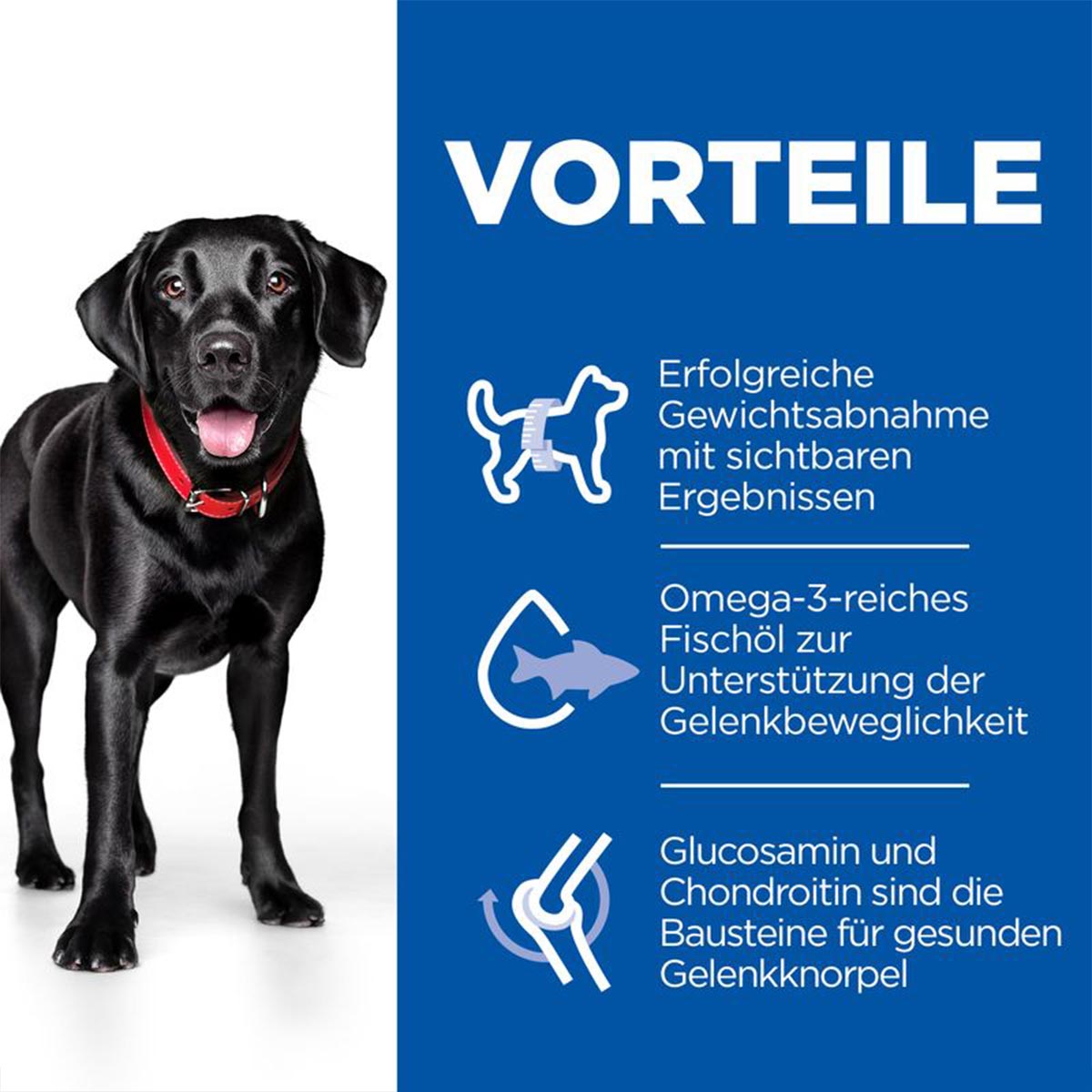 Hill's Science Plan Hund Perfect Weight + Active Mobility Large Breed Adult Huhn 12kg