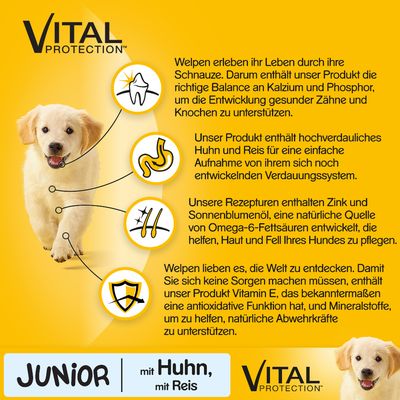 Pedigree Junior Medium mit Huhn & Reis