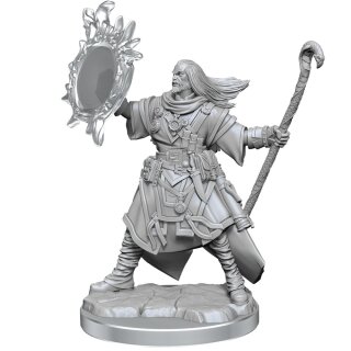 Pathfinder Legendary Cuts: Male Human Wizard (2)