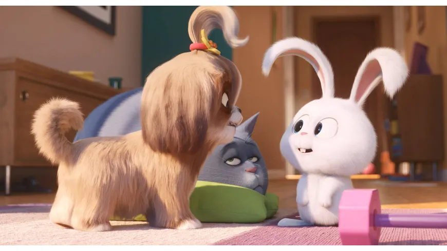 Pets 2