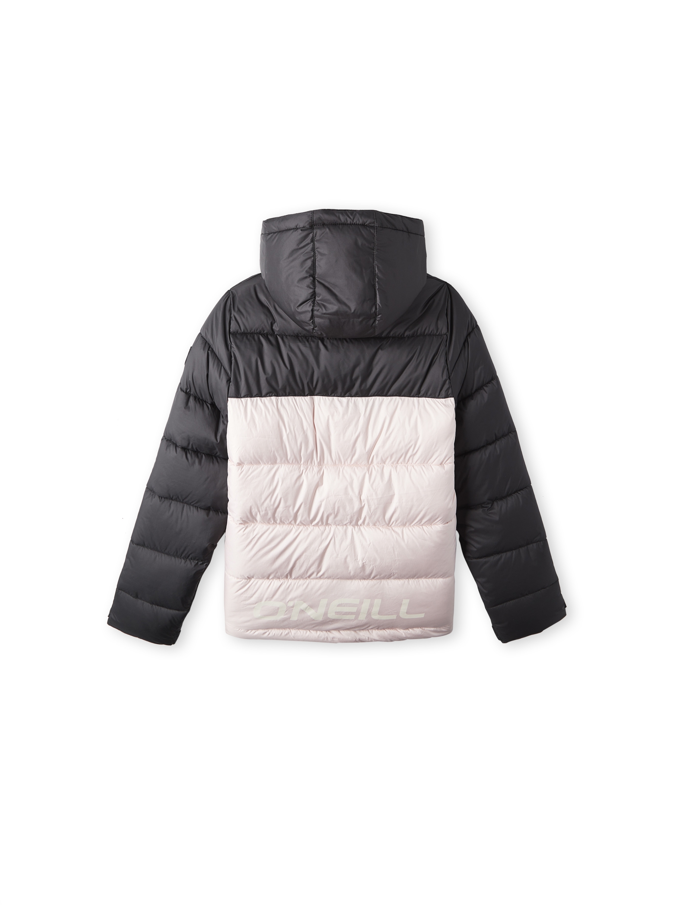 Winter Jacket