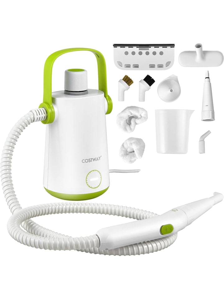 COSTWAY Dampfreiniger 1000W inkl. 10 Zubehör in Grün günstig kaufen 300 ml