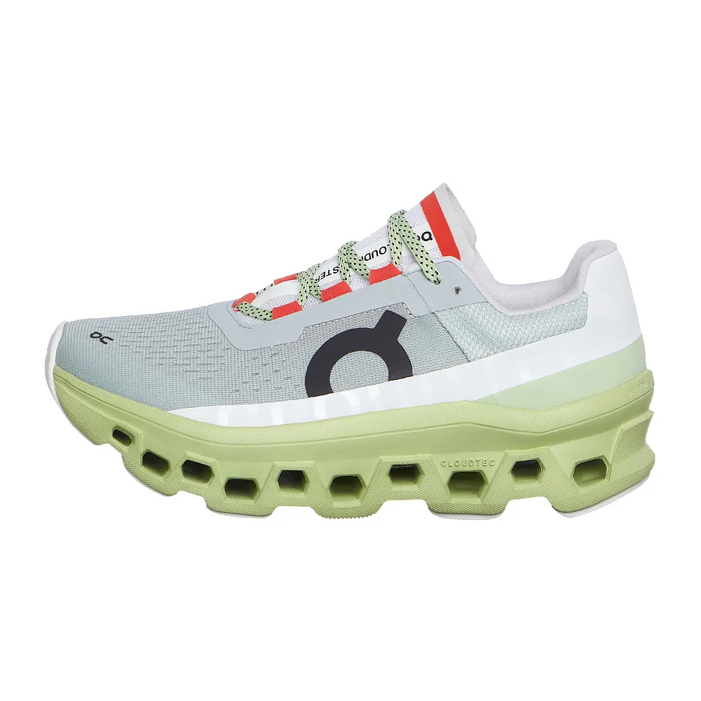 ON Cloudmonster 6199022 / grau