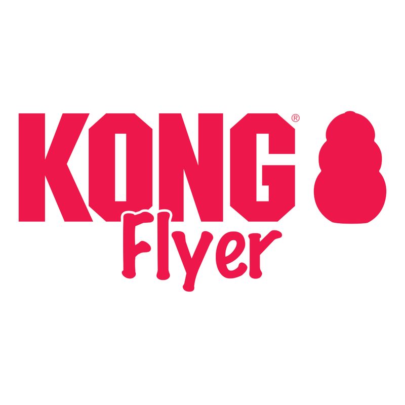 KONG Extreme Flyer zu TOP-Preisen