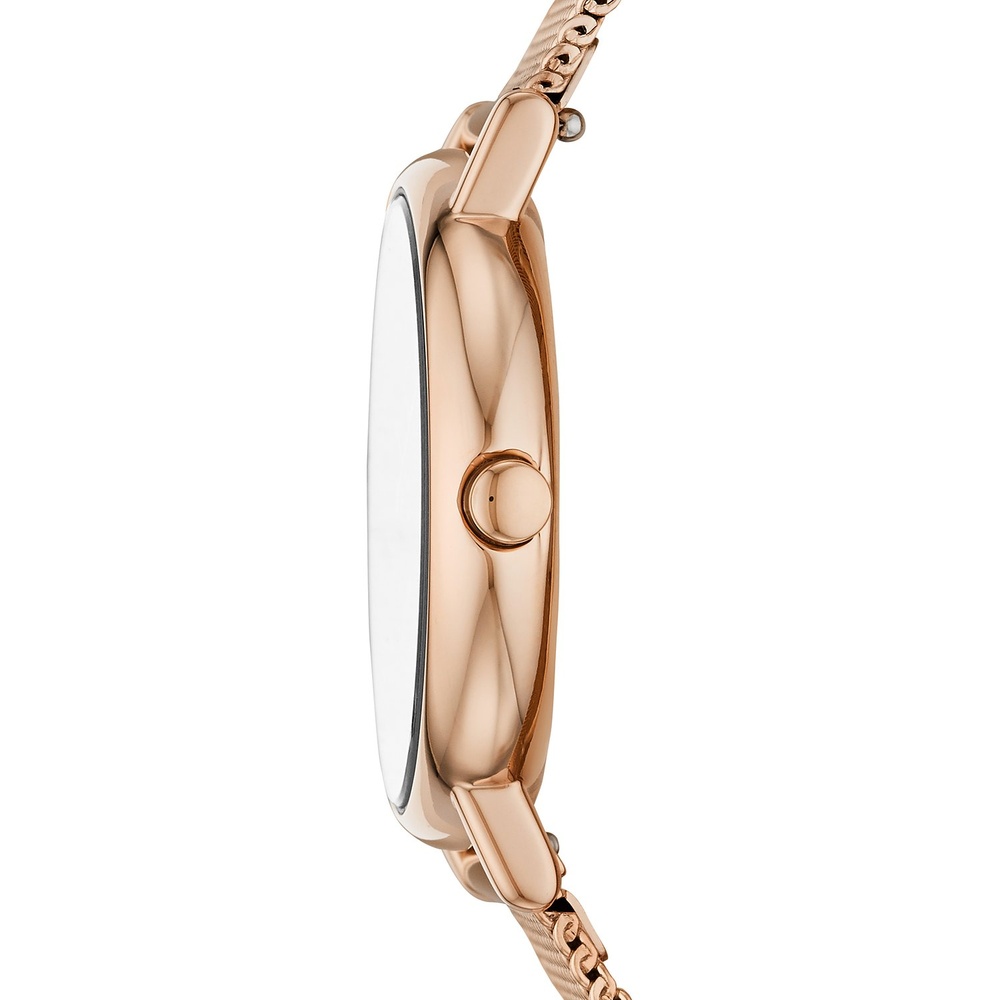 Skagen Montre pour femme Acier inoxydable Montre